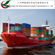 Transport maritime d&#39;expédition de mer 20 &quot;/ 40&quot; récipient de fret de Chine à dans le monde entier